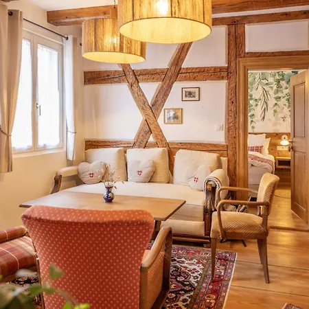 Apartament Chez L'alsacien - Authentique De Charme Classe 4 Etoiles Barr